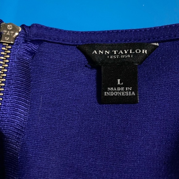 Ann Taylor Sleeveless Solid Blue Top Minimalist Style Simple Elegance - Picture 3 of 7